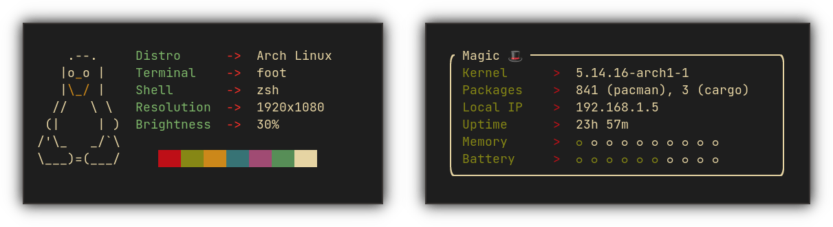 Two side-by-side terminal emulators showing a plethora of information about the system.