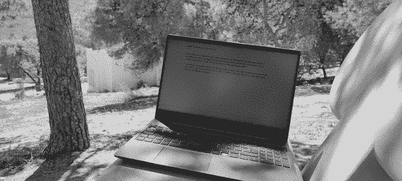 Laptop screen showing a diary entry, trees surround the shot from every direction.